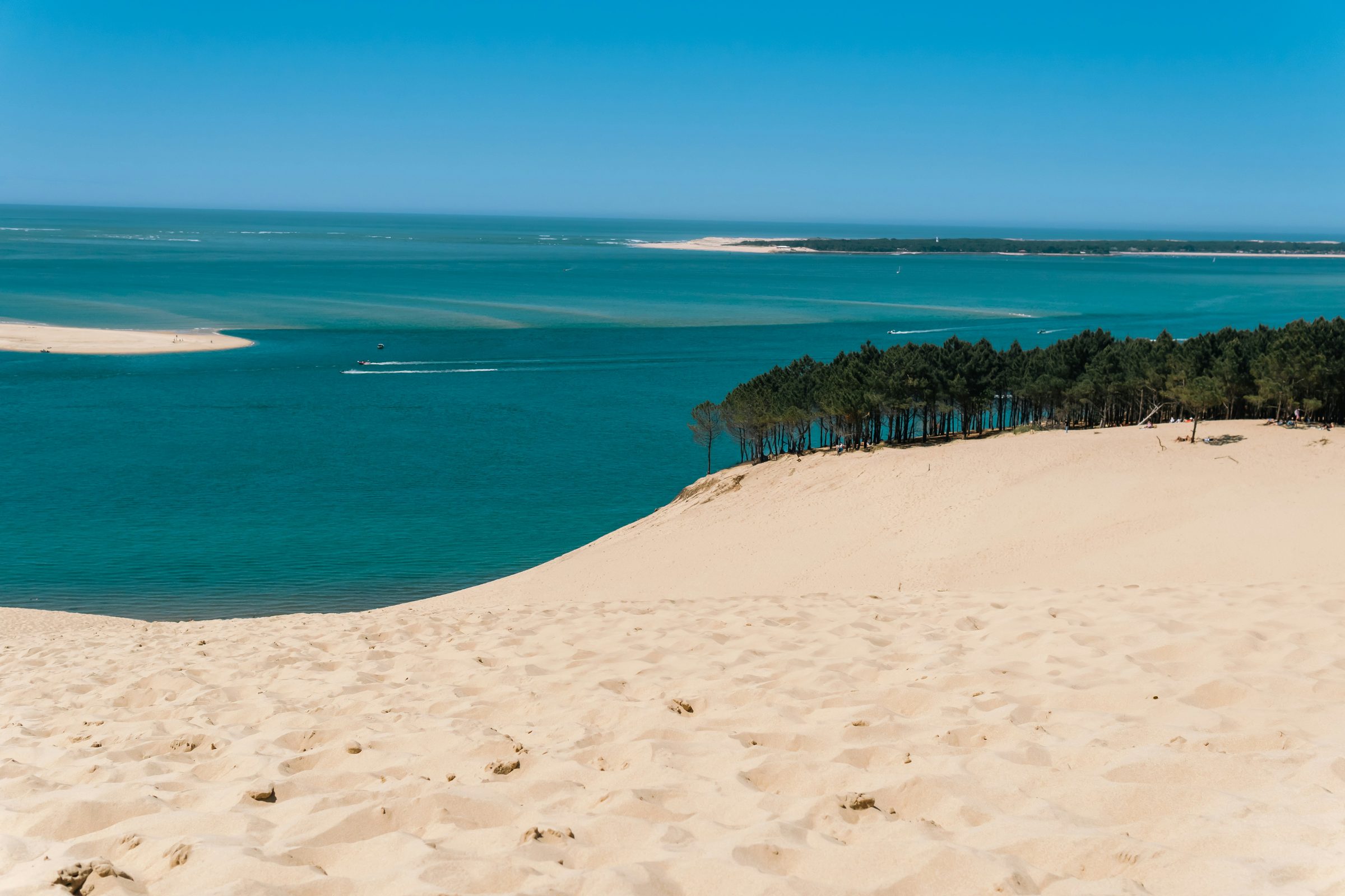 La dune du Pilat, les pins et le banc d'Arguin